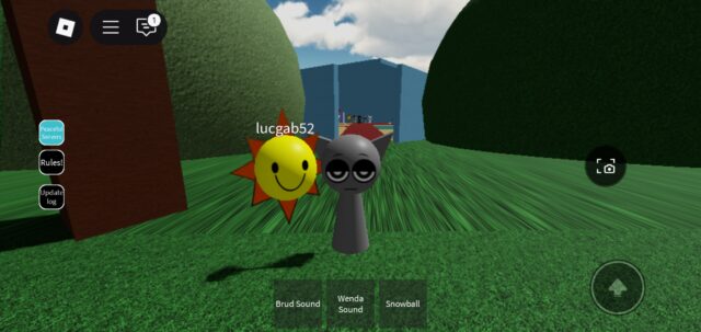 Screenshot_20250613-223301_Roblox