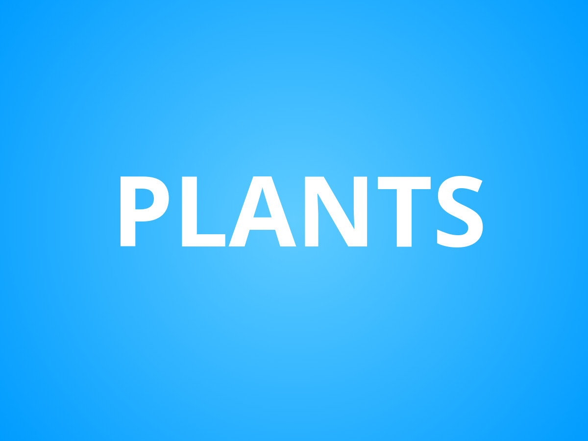 Plants