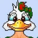 Profile photo of Gracie