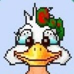 Profile photo of Gracie